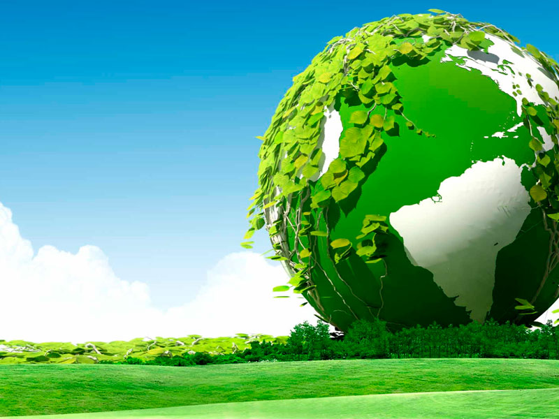 Rui's Social Responsibility About Green Energy