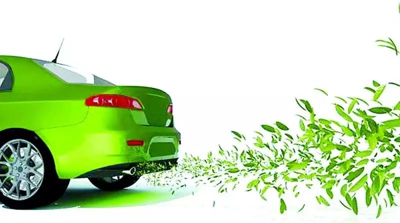 Rui's Social Responsibility About Conserving Energy